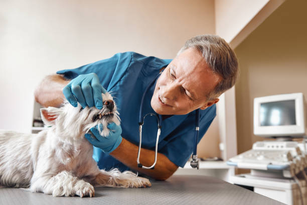 Best After-Hours Emergency Dentist in Sparta, GA