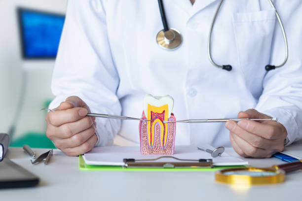 Best Emergency Broken Tooth Repair in Sparta, GA